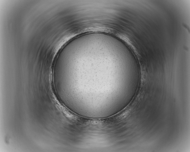 X0000100861040200807070929