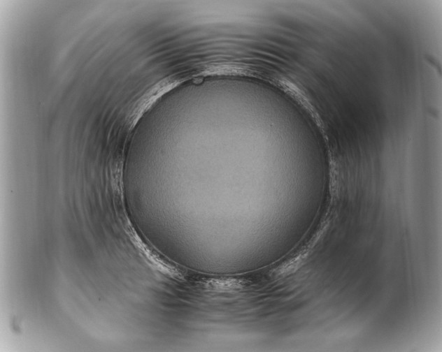 X0000100861041200807070929