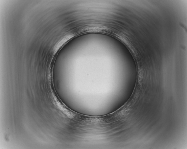 X0000100861042200807070929