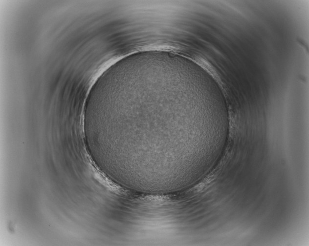 X0000100861044200807070929