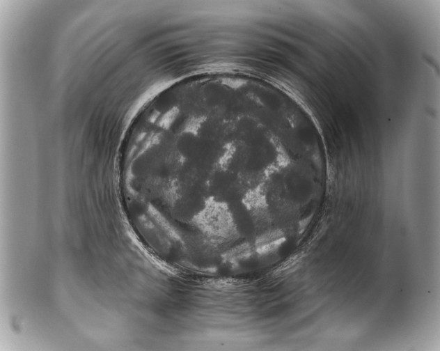 X0000100861045200807070929