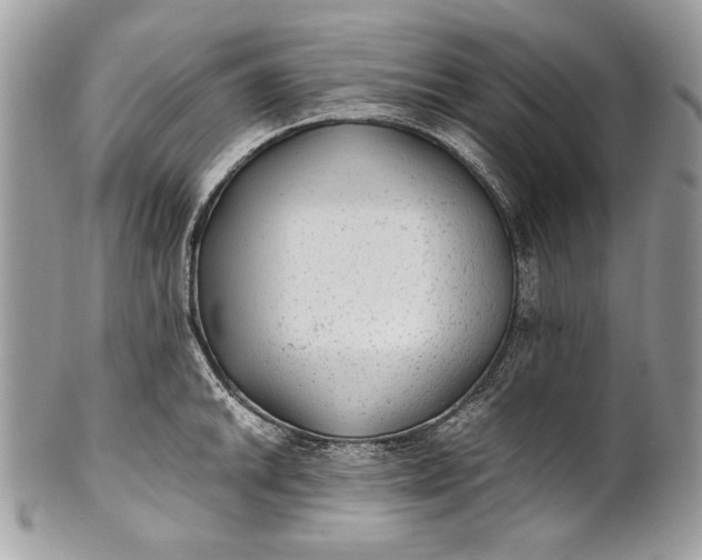 X0000100861046200807070929