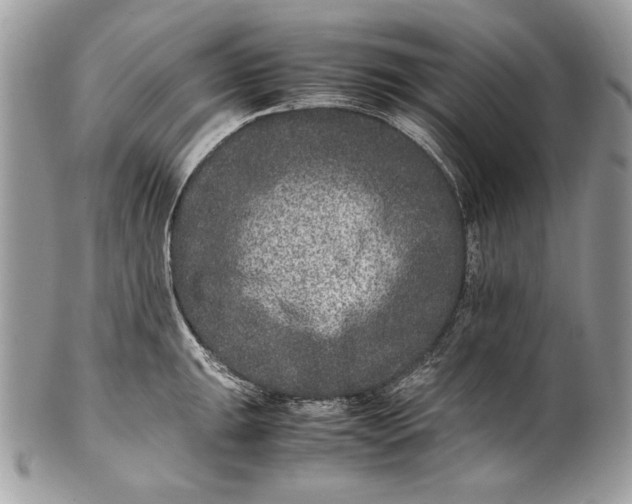 X0000100861047200807070929