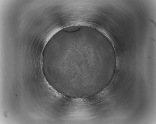 X0000100861048200807070929