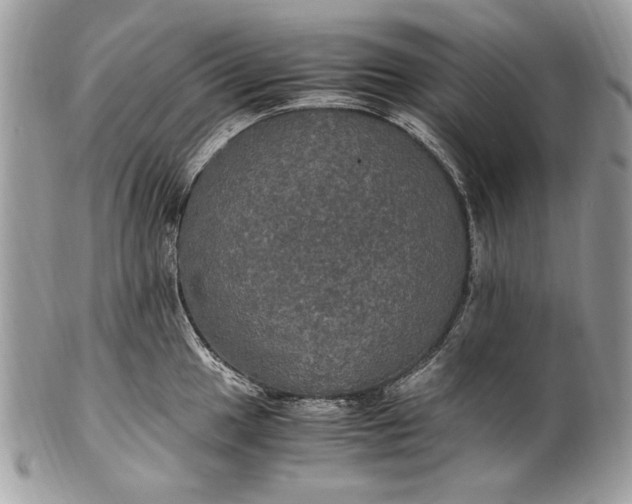 X0000100861049200807070929