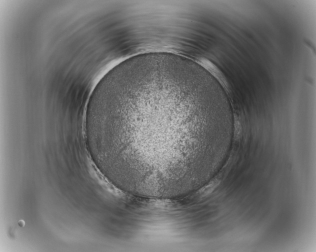 X0000100861052200807070929