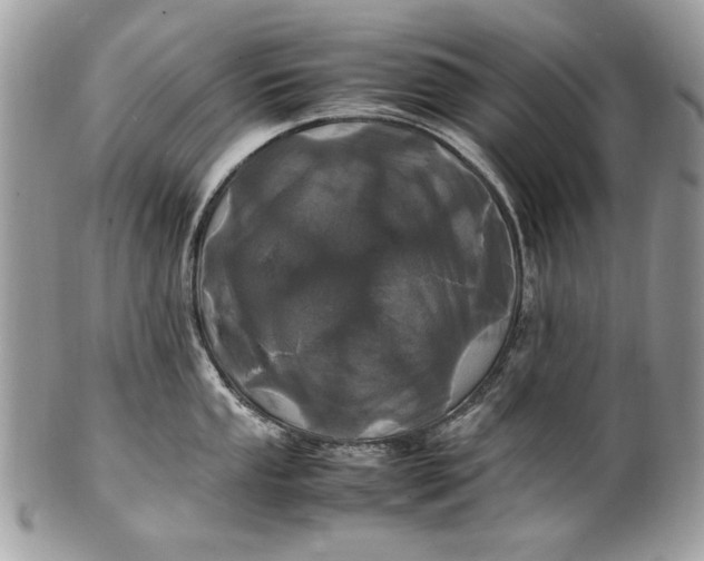 X0000100861053200807070929