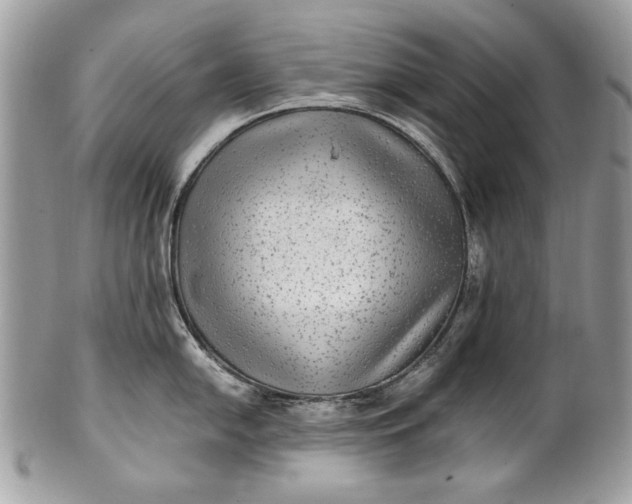 X0000100861054200807070929