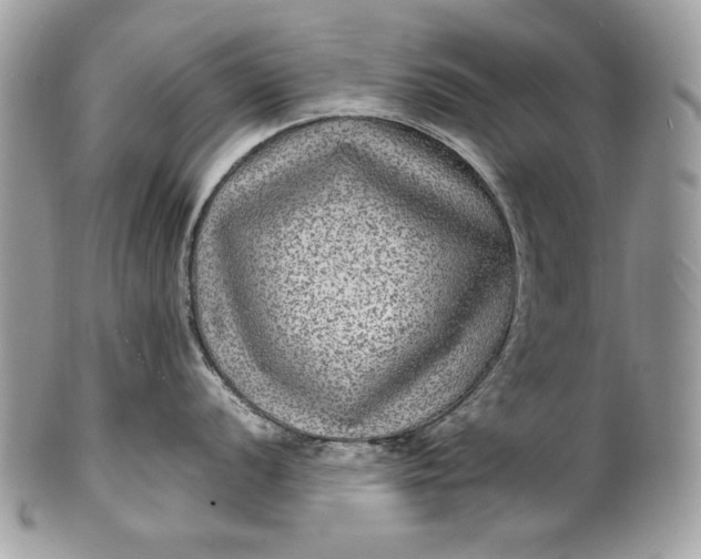 X0000100861056200807070929