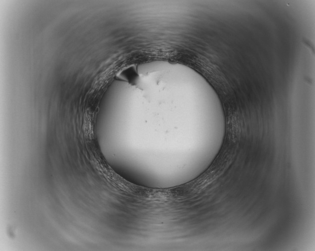 X0000100861058200807070928