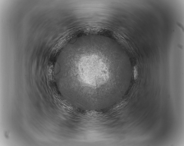 X0000100861059200807070928