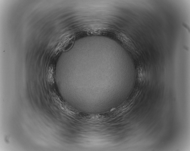 X0000100861060200807070928