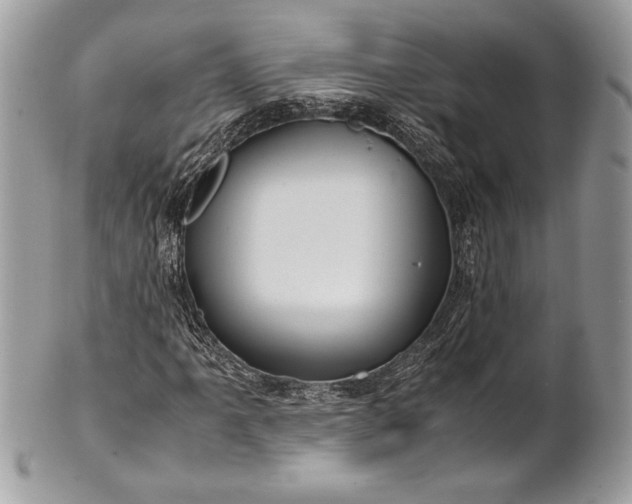 X0000100861061200807070928