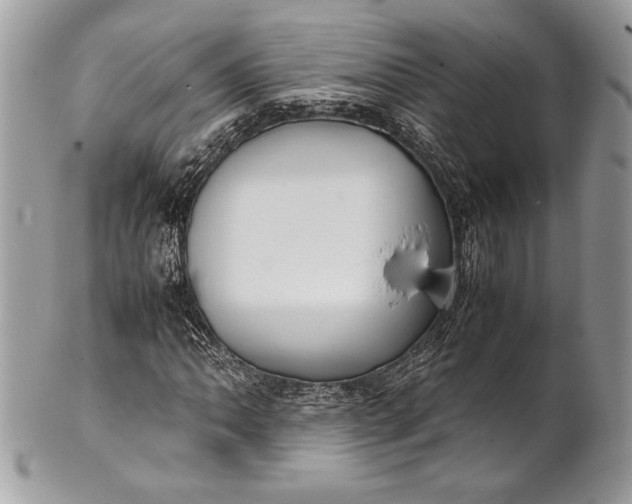 X0000100861062200807070928