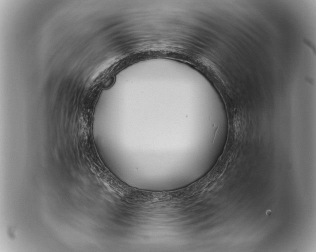 X0000100861064200807070928