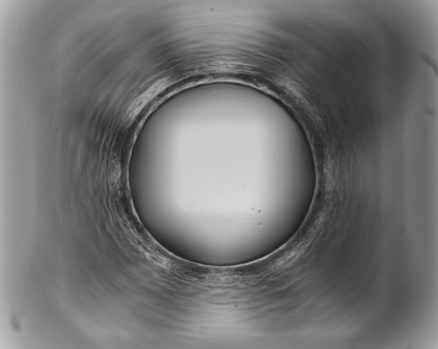 X0000100861065200807070928