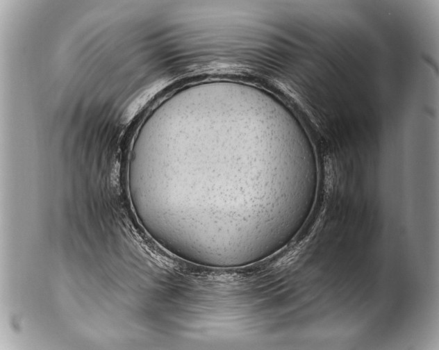 X0000100861066200807070928