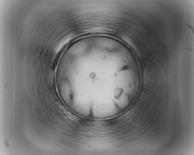 X0000100861067200807070928