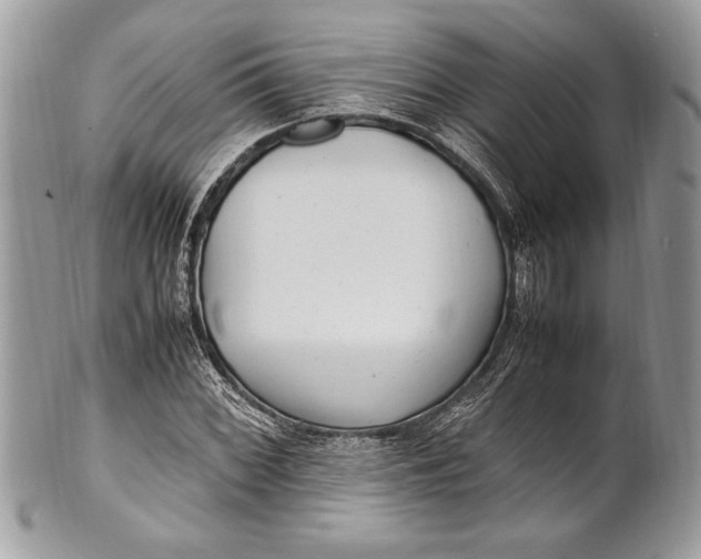 X0000100861068200807070928