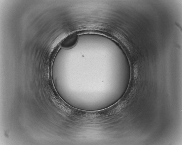 X0000100861069200807070928