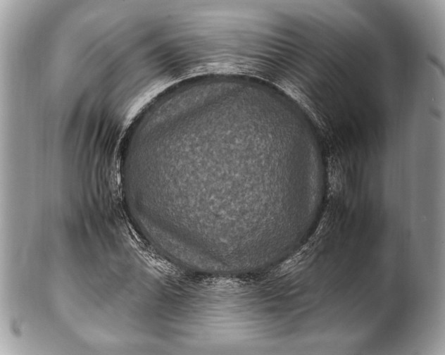 X0000100861070200807070928