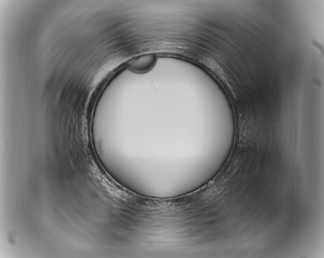 X0000100861072200807070928