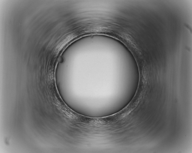 X0000100861073200807070928