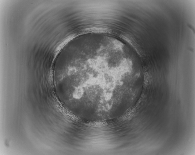 X0000100861074200807070928