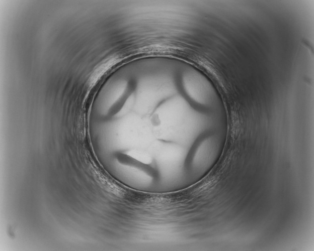 X0000100861075200807070928