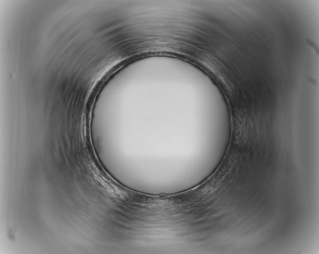 X0000100861076200807070928