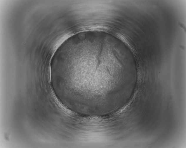 X0000100861079200807070928