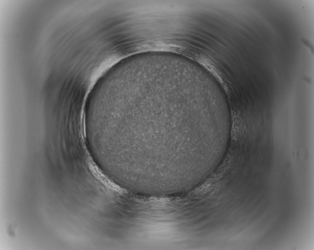 X0000100861080200807070928