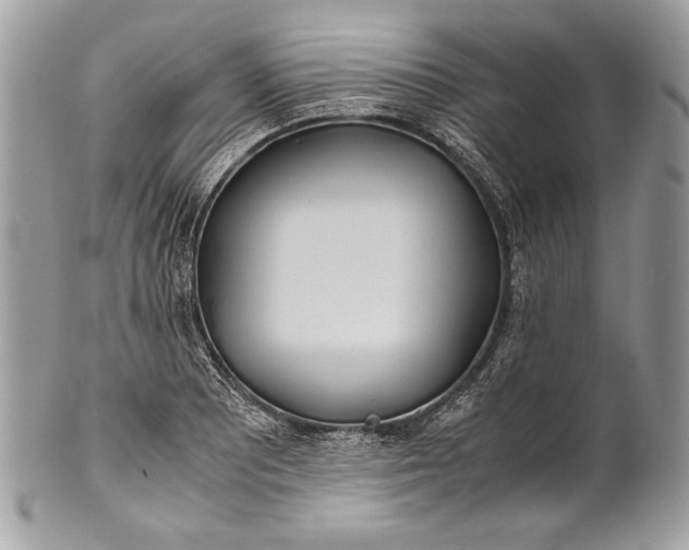 X0000100861081200807070928