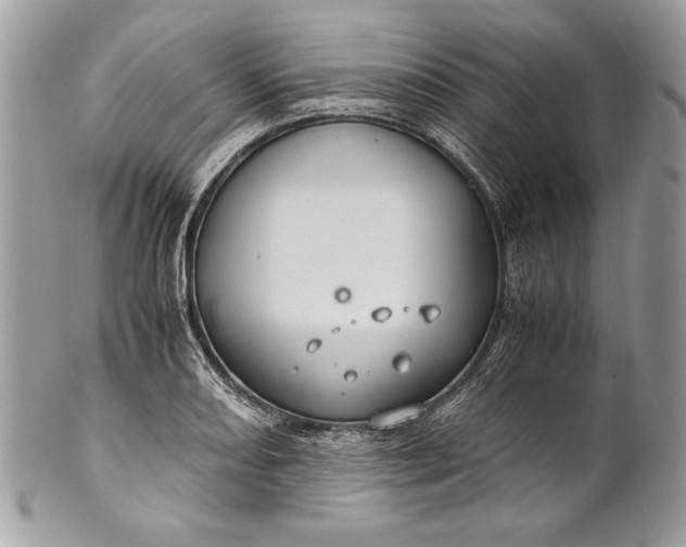 X0000100861082200807070928