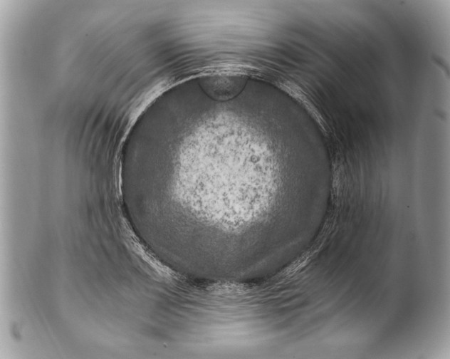 X0000100861083200807070928