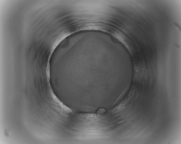 X0000100861084200807070928