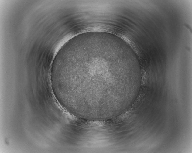 X0000100861086200807070928