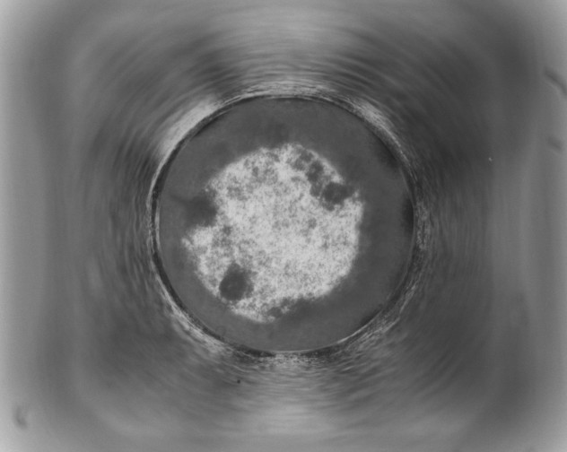 X0000100861087200807070928