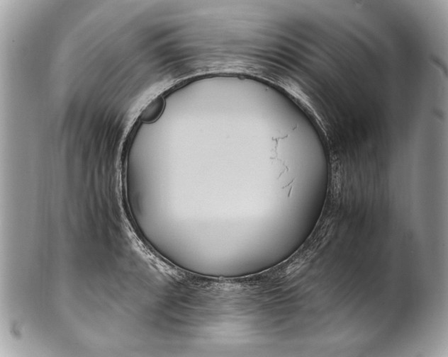 X0000100861088200807070928