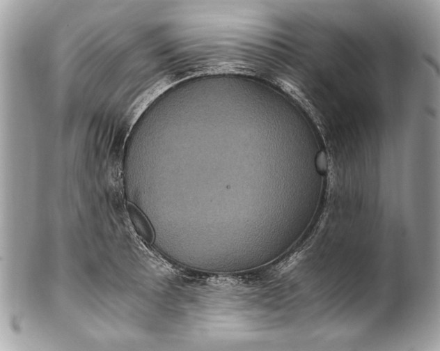 X0000100861089200807070928