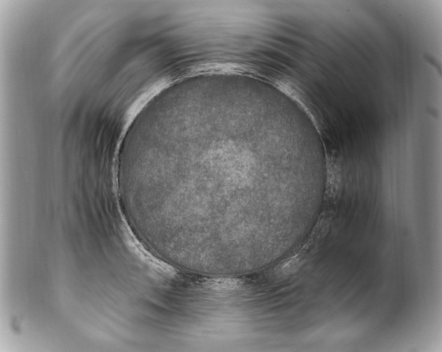 X0000100861090200807070928