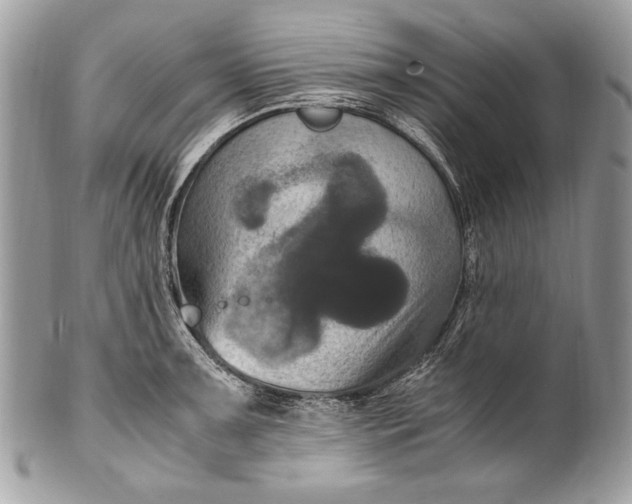 X0000100861091200807070927