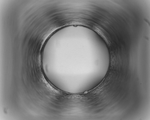 X0000100861092200807070927