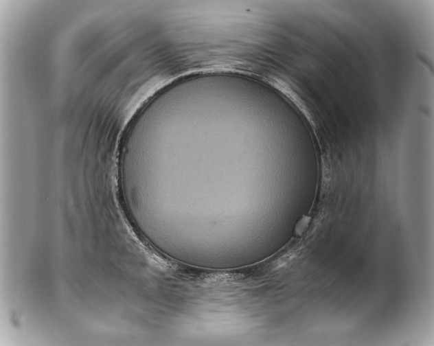 X0000100861093200807070927