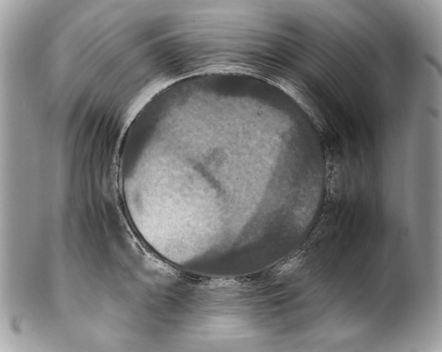 X0000100861094200807070927