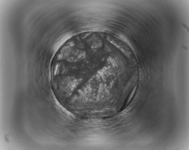 X0000100861095200807070927