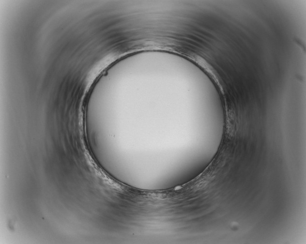 X0000100861096200807070927