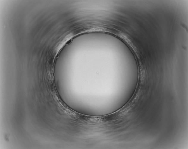 X0000100861097200807070927