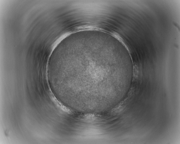 X0000100861098200807070927