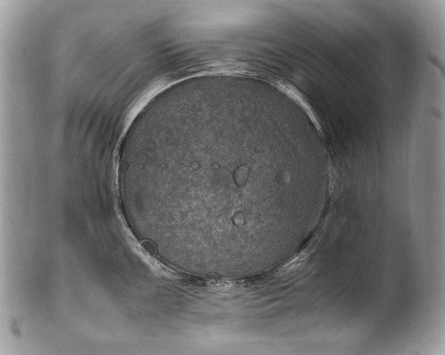 X0000100861099200807070927